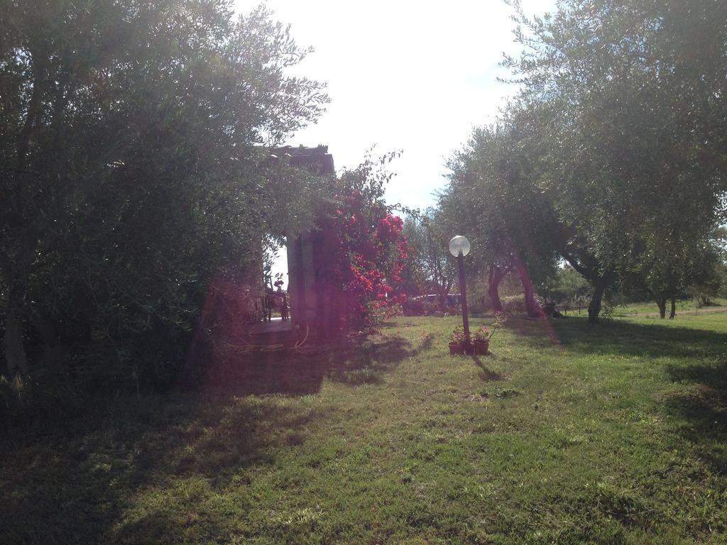 Casa Santina Villa Girasole Rom bilde