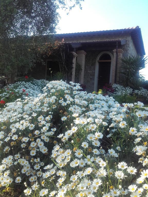 Casa Santina Villa Girasole Eksteriør bilde