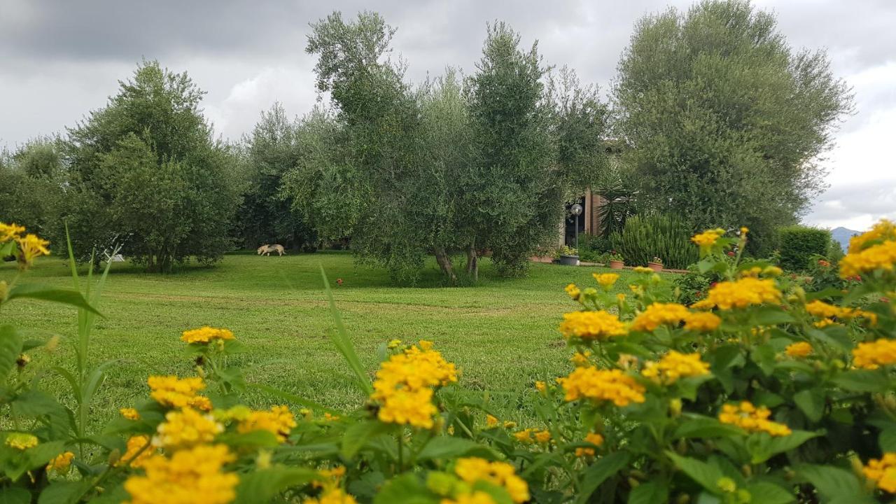 Casa Santina Villa Girasole Eksteriør bilde